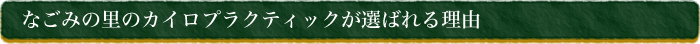 なごみの里のカイロプラクティックが選ばれる理由